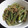 にゃーにゃー２'s cooksnap of when they made いんげんのごま和え♪.