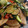 ｴﾑ子's cooksnap of when they made 豚と夏野菜のピリ辛炒め.