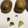 こつゆ514's cooksnap of when they made 食べる部分が多いキウイの芯の取り方.