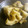 maruru-nn's cooksnap of when they made れんこんとひき肉のきんぴら.