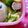 アイスママ's cooksnap of when they made じゃがいもとアスパラのクレソル炒め✿.