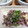 スリーエクボ's cooksnap of when they made おつまみに！砂肝の柚子胡椒ぽん酢.