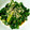 umebotan's cooksnap of when they made にらの中華風おひたし.