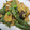 tamamiya55's cooksnap of when they made スナップえんどうとエリンギの卵とじ.