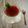 violets's cooksnap of when they made しゅわぷる☆グレープゼリーソーダ.