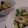 もも茶々's cooksnap of when they made ズッキーニとツナの和え物.