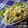 オレンジデイ's cooksnap of when they made メキシカンなポテトサラダ♬　.