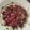 まさちゃん2233's cooksnap of when they made ふりかけ昆布入り　かつおのカルパッチョ　.
