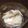 ぴー♪'s cooksnap of when they made かぶとみょうがの浅漬.