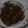mhmh1031's cooksnap of when they made １５分で出来るカレー.