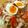 ★ａｓｍ★'s cooksnap of when they made レタスたっぷり「サラダ冷麺」.