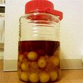 kikky's cooksnap of when they made 絶賛のブランデー梅酒☆.
