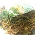 ピロリ♪'s cooksnap of when they made 塩焼きそばを美味しくするには。.