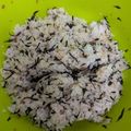 unauna72's cooksnap of when they made 梅ひじきの混ぜご飯【冷凍作り置き】.