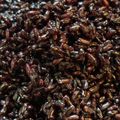 cookemm's cooksnap of when they made 簡単な黒米（赤米）の炊き方！（茹で方？）.