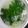 聖波と蛍都ママ's cooksnap of when they made お麩とお野菜煮<簡単離乳食(8ヶ月頃)>.