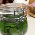 えみぃぃこ's cooksnap of when they made 絶対役立つ！果実酒④「ミント酒｣.