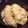 BellmanM's cooksnap of when they made 小さじde計量簡単　ネギキャベツ餃子.