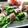 noamanma's cooksnap of when they made ★超簡単！水菜の生ハム巻き★.