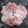 ミロにゃん's cooksnap of when they made ぷりぷりジューシー！鶏もも肉の下ごしらえ.