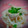 ユキ★ユウキ's cooksnap of when they made 新玉ねぎとささみのサラダ.