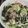 toshiebaba's cooksnap of when they made 海藻麺とわかめの酢の物.