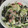 toshiebaba's cooksnap of when they made 海藻麺とわかめの酢の物.