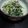 木村みつとし's cooksnap of when they made 手作りドレッシングでほうれん草の胡麻和え.