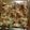 nokomori's cooksnap of when they made ナスとたっぷり野菜の味噌チーズ焼き.