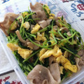 タニカゼ's cooksnap of when they made 豆苗ときのこの卵炒め.