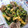 タニカゼ's cooksnap of when they made 豆苗ときのこの卵炒め.