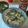 CHICHICAT's cooksnap of when they made 簡単 親子丼 基本の丼だし.