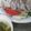そらとはる:D:D's cooksnap of when they made 夏バテ解消！豚の冷しゃぶ.