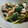 テトラ☆ポット's cooksnap of when they made 筍と豚肉と小松菜のオイスター炒め.