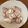 クックこてぃん's cooksnap of when they made 色鮮やかラディッシュとツナのサラダ.