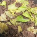 OrangeC's cooksnap of when they made 材料2つ＊春キャベツと牛肉のすき焼き風＊.