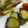 mantacarp's cooksnap of when they made ＊副菜＊白だしできゅうりと塩昆布の浅漬け.