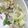 クックW6C4C7☆'s cooksnap of when they made 我が家の減塩　白菜サラダ.