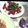 パンクぱんだ's cooksnap of when they made カプレーゼ風サラダ.