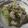 きらり流れ星's cooksnap of when they made ガーリック塩鶏ハム.