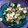 mantacarp's cooksnap of when they made 長芋と胡瓜の梅マヨネーズ和え.