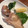 pon52soup's cooksnap of when they made 魚の塩蒸し.