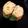 ありぴ～'s cooksnap of when they made *お弁当に✿枝豆の卵焼き✿*.
