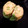ありぴ～'s cooksnap of when they made *お弁当に✿枝豆の卵焼き✿*.