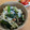 往きつ戻りつ's cooksnap of when they made 簡単！ほうれん草のごま酢和え.