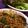 じゅんじゅんmomo's cooksnap of when they made ★納豆とひき肉のレタス包みサラダ★.