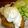 ３人の父's cooksnap of when they made チキン南蛮.