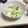 タカッパ☆'s cooksnap of when they made 簡単副菜さっぱりきゅうり＆大根漬物.