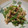 チャダチャダ's cooksnap of when they made ピーマンと筍のシーチキン炒め!!.
