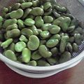 fumcook's cooksnap of when they made ふっくらシワなし*そら豆の茹で方*.